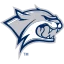 New Hampshire logo