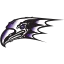 Niagara logo