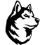 Northeastern logo